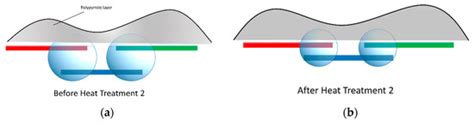 Step-Wise Deposition Process for Dielectrophoretic Formation of ...