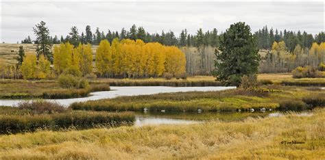 Fall colors at Turnbull Refuge | FWS.gov