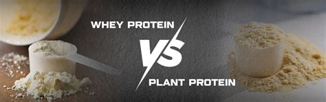 Plant Protein VS Whey Protein – NAKPRO NUTRITION