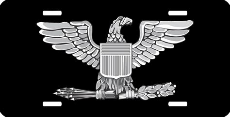 Image result for USAF Colonel Rank