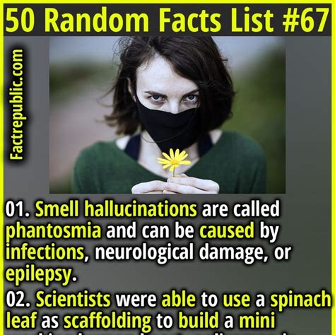 Image result for Random Facts List