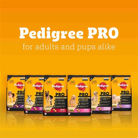 PEDIGREE Large Breed (18 Months Onwards) Chicken 3 kg Dry Adult Dog ...