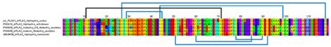 De Novo Venom-Gland Transcriptomics of Spine-Bellied Sea Snake ...