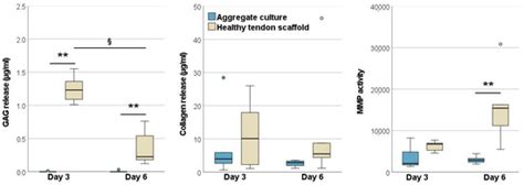 Mesenchymal Stromal Cells Adapt to Chronic Tendon Disease Environment ...