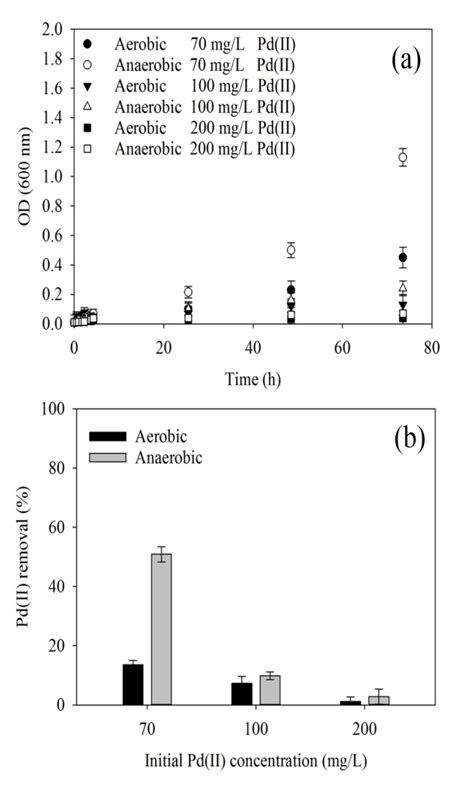 Synthesis of Biogenic Palladium Nanoparticles Using Citrobacter sp. for ...