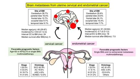 Brain Metastases from Uterine Cervical and Endometrial Cancer