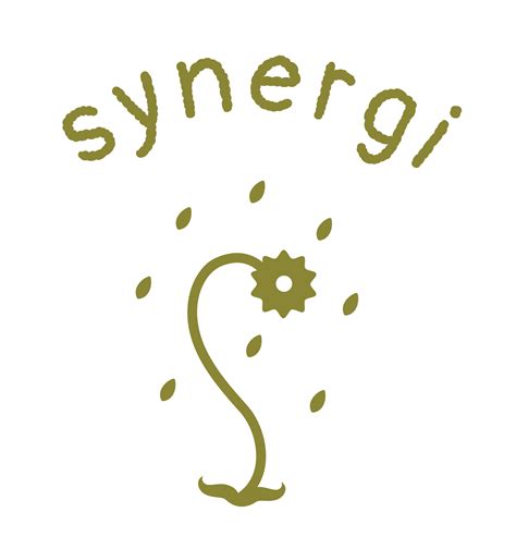 Synergi Logo 的图像结果