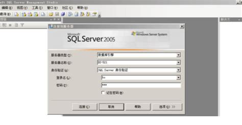 SQL Server E 的图像结果