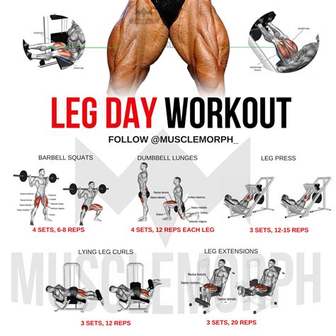leg day workout leg workout leg exercises gym bodybuilding https ...