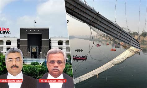 [Morbi] "Let Them Learn, Give Back To Society": Gujarat HC Appoints 2 ...