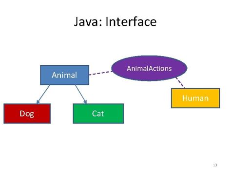 Image result for What Is Object-Oriented Principles Inheritance Diagrams Use Animals Examples