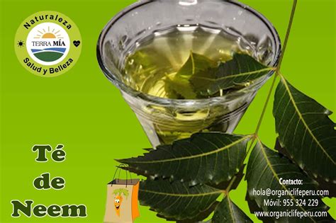 Organic Life Perú: El Árbol de Nim - Organic Life Perú