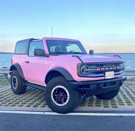 Pink panther bronco – Artofit