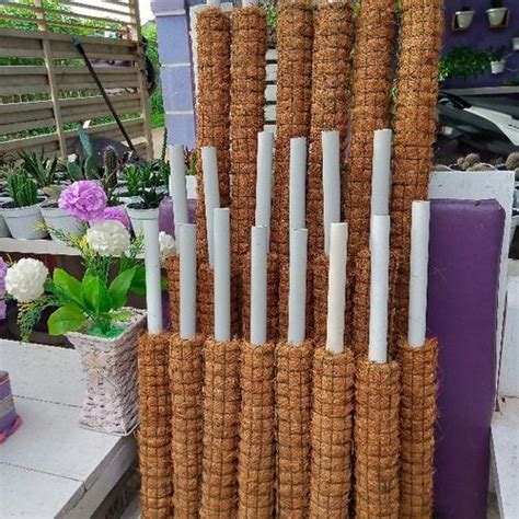 Jual Turus kawat, Turus Penyangga, penyangga tanaman rambat 30cm ...