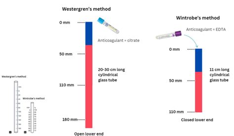 ESR Testing 的图像结果