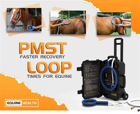 Portable Pemf Magnetic Therapy Device for Horse Rehabilitation