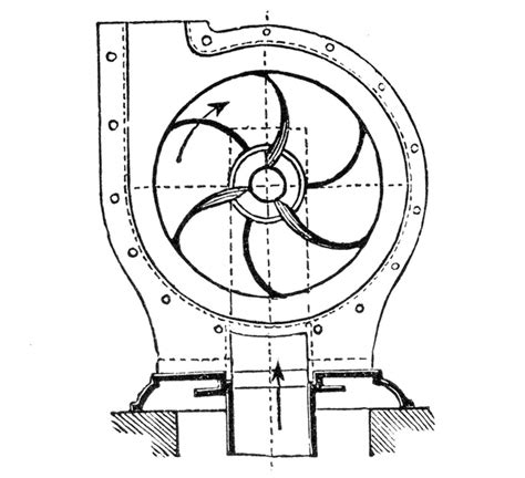 The Basics of Process Pumps | DWS Services INC.