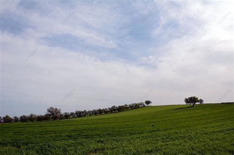 Plain Spring Background 的图像结果