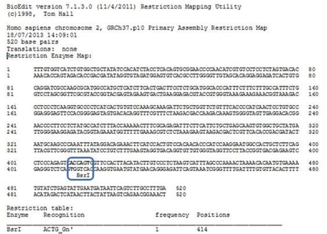 Circular Restriction Mapping 的图像结果