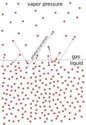 Vapour Pressure, Raoult's Law, Ideal and Non Ideal Solutions - Physical ...