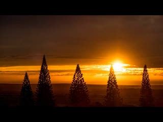 SENSEI LANAI, A FOUR SEASONS RESORT (Lanai City) - Hotel Reviews ...