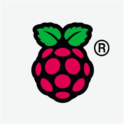 Image result for Raspberry Pi 4 Logo