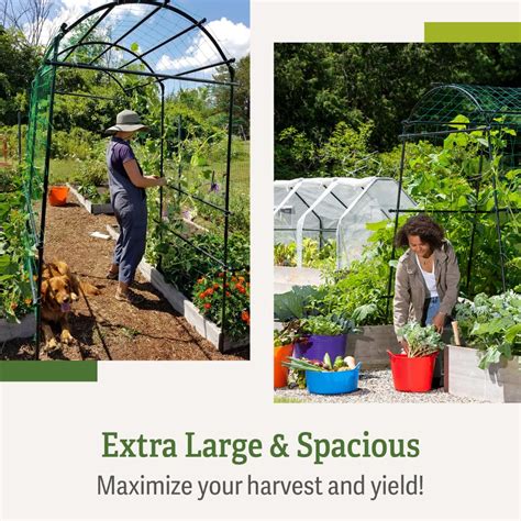 Buy Gardener’s Supply Company Extra Tall Garden Arch Arbor 80in Titan ...