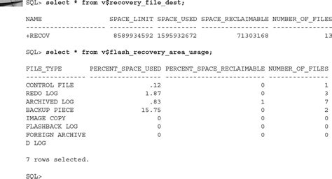 Oracle Database12g Instance Recovery 的图像结果