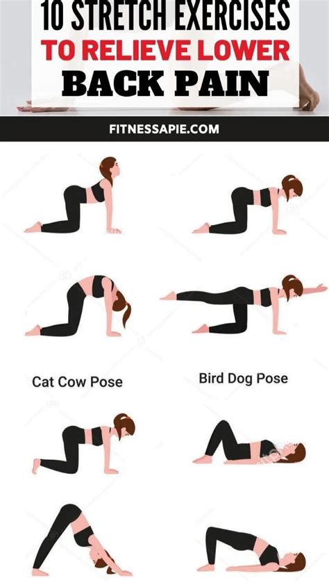 Image result for Lower Back Stretching Exercises