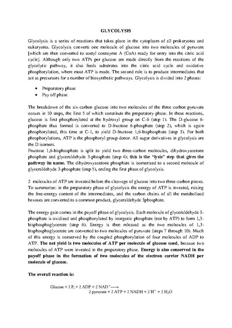 GLY 101: Glycolysis and Gluconeogenesis Regulation Overview - Studocu