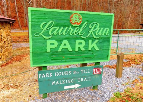 Tales From The Wood Booger: New Discoveries At Laurel Run Park