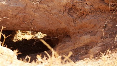 UP: Two girls buried alive after mound of soil caves in - India News