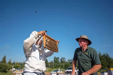 Bee Friendly Demonstration Garden Tours, Campbell's Gold Honey Farm ...