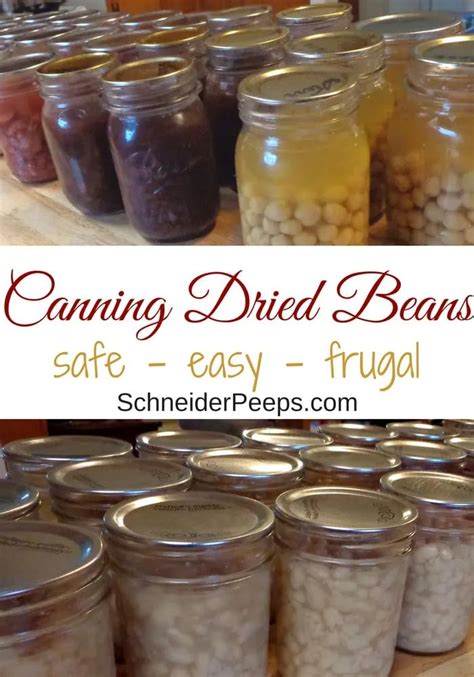 Canning String Beans Recipe 的图像结果