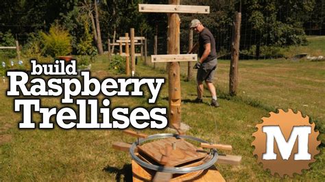 Image result for How to Build Raspberry Trellis