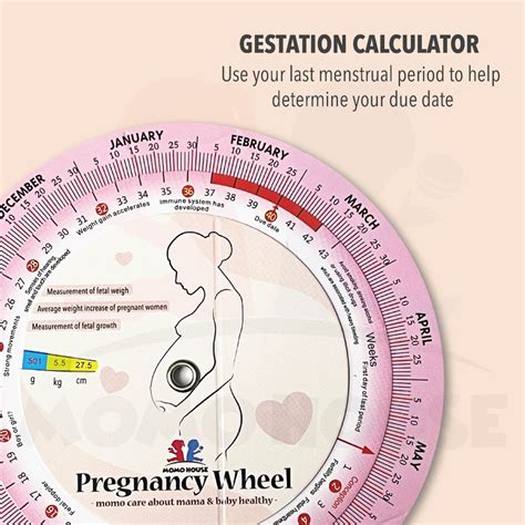 Pregnancy Calculator Wheel Roda Kehamilan Pregnancy OB Wheel Obstetric ...