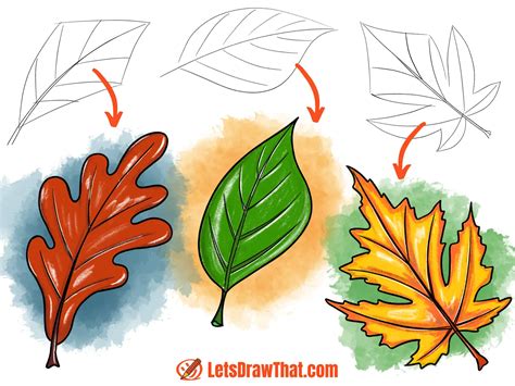 How to Draw Leaves: 3 Easy Fall Leaf Drawings
