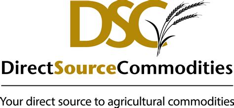 Image result for Direct Source Logo Scan