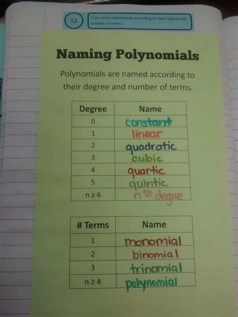 Image result for Polynomial Name Chart