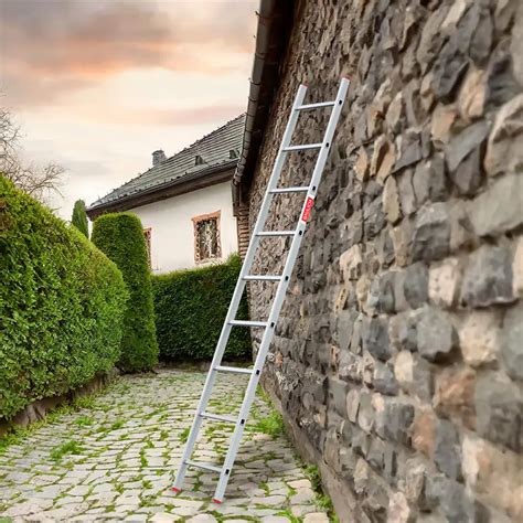 BAULICH 1x9 Jednodelne Aluminijumske Merdevine PRO | Akcijska Prodaja