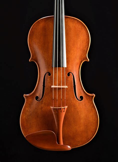 Violas The Instrument at James Mathis blog