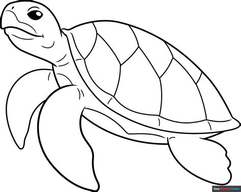 Image result for Turtle Drawing Tutorial
