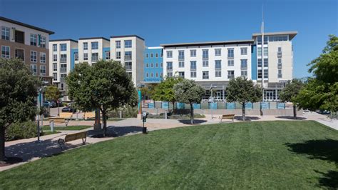 Pet-Friendly Foster City Apartments - The Triton - Dogs & Cats Allowed