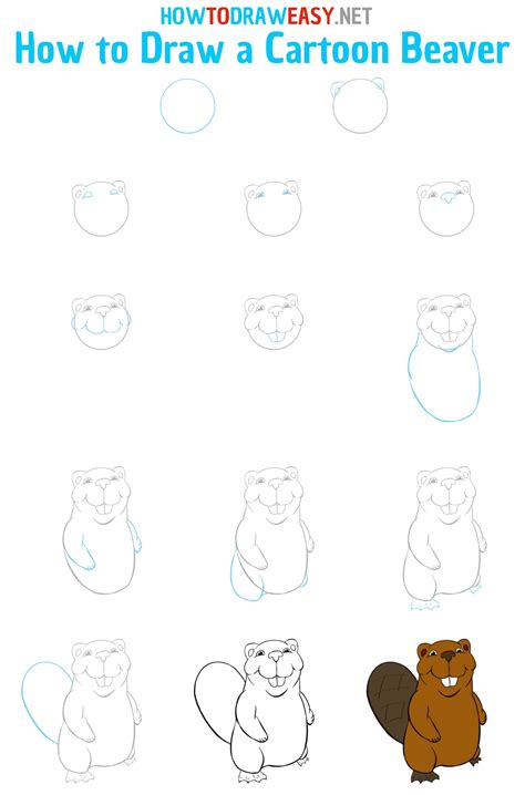 How to Draw a Cartoon Beaver | Easy drawings, Beaver drawing, Easy ...