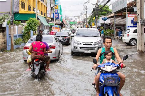 Thailand Monsoon Season Mold