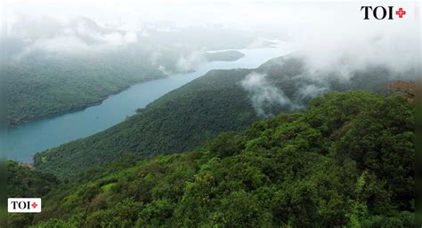 Tillari Conservation Reserve: Maharashtra forest blessed by the Queen ...