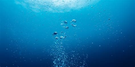 Protecting Coral Reefs with Bubbles | Stanford Doerr School of ...