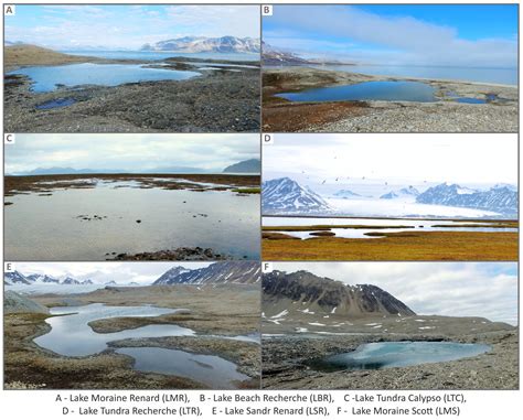 Physicochemical Conditions Shaping Phytoplankton Development in Shallow ...