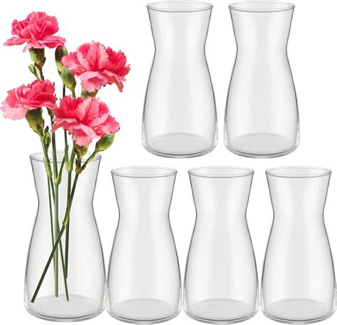 Amazon.com: Thenshop 6 Pcs 8'' Tall Clear Flower Vase Wide Mouth ...