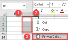 Image result for Lock Cells